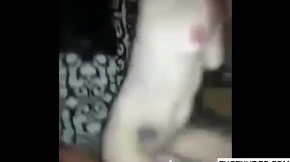 Slim white chick gets her tight cunt stretched by bbc