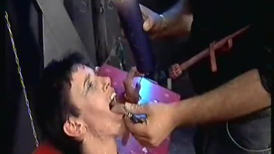 Tongue and tit session